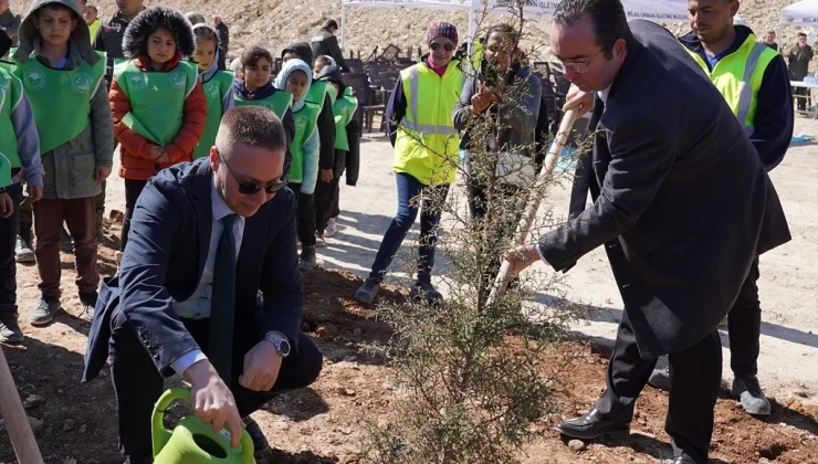 YK Enerji, Muğla’da doğaya geri kazandırma projesinin ilk fazını tamamladı